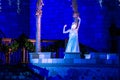 Elsa in A Frozen Holiday Wish at Magic Kingdom Park 8. Royalty Free Stock Photo