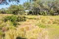 Kilimanjaro Safaris at Animal Kingdom at Walt Disney World Royalty Free Stock Photo