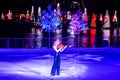 Woman violinist in Winter Wonderland on Ice at Seaworld 196