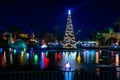 Dinosaur, colorful balls and Christmas tree at Hollywood Studios 179