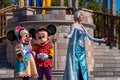 Mickey, Minnie and Elsa in Mickeys Royal Friendship Faire in Magic Kingdom 38 Royalty Free Stock Photo