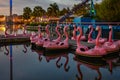 Panoramic view of Flamingo`s paddle boat and Mako rollercoaster at Seaworld in International Drive area 3