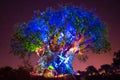 Panoramic view of Illuminated Tree of Life on blue night background at  Animal Kingdom in Walt Disney World area 1 Royalty Free Stock Photo