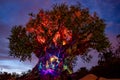 Panoramic view of Illuminated Tree of Life on blue night background at Animal Kingdom in Walt Disney World area 2