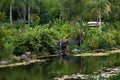 Panoramic view of waterfalls, river and rainforest in Animal Kingdom at Walt Disney World area.