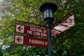 Streetlight and Festival of The Lion King sign in Animal Kingdom .