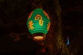 Oriental style lamp at Magic Kingdom 215