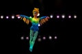 Bird woman in Festival of the Lion King in Animal Kingdom Royalty Free Stock Photo