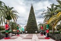 ORLANDO, FLORIDA, USA - DECEMBER, 2018: Christmas Tree at Eola Park
