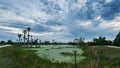 Orlando Wetlands Royalty Free Stock Photo