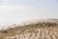 Beachgoers enjoying hazy but nice autumn day at Nauset Beach