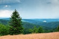 Orlicke mountains in summer Royalty Free Stock Photo