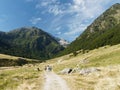 Orlu natural reserve, Pyrenees, France Royalty Free Stock Photo