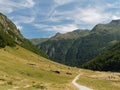 Orlu natural reserve, Pyrenees, France Royalty Free Stock Photo