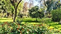 Orman Botanic Garden in Giza Royalty Free Stock Photo