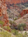 The Ormiston gorge in the Mcdonnell ranges