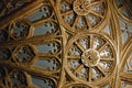 Ornament of ceiling at the Lello & Irmao bookstore in Porto