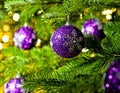 Ornament in a Christmas tree Royalty Free Stock Photo