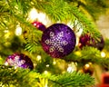 Ornament in a Christmas tree Royalty Free Stock Photo