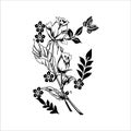 Ornament Floral Vector Ilustration Royalty Free Stock Photo