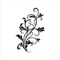 Ornament Floral Vector Ilustration Royalty Free Stock Photo