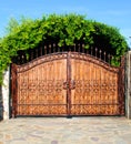 Ornament forged big iron garden gate Royalty Free Stock Photo