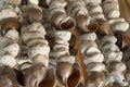 Ornament in handmade beach house with shells. Guatemala.