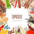 Ornament made of Spices with text 100 natural product