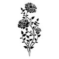 Ornament of roses. Decorative Floral design elements. Vector