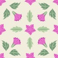 Ornament of rosettes of pink dope flowers with leaves on a white background. Seamless pattern.