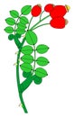 Ornamental branch with roses