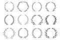 Ornamental branch wreathes set in hand drawn design.