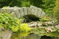 Ornamental Bridge and Pond