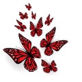 Ornamental butterflies