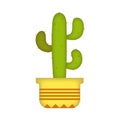 Ornamental cactus in pot cartoon illustration