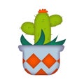 Ornamental cactus in pot cartoon illustration