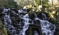 The Ornamental Cascade waterfall in Virginia Water, Surrey, UK Royalty Free Stock Photo