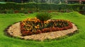 Ornamental designed park flower bed.