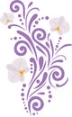 Ornamental element with orchids for design