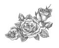 Ornamental engraving rose