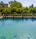 Ornamental fish ponds and wooded gardens leading to old town fortifications in Cordoba, Spain
