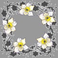 Ornamental lloral round frame with hand drawn flowers daffodils Royalty Free Stock Photo