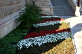 Flower annual flowerbed by the sidewalk formed by diagonal stripes red-white flowering planting of flowers drip pipe will make Royalty Free Stock Photo