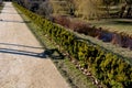 Ornamental flower bed in front of the castle on the ground floor. Planting annuals has the shape of a circle or strips bordered by Royalty Free Stock Photo