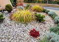 ornamental flower bed with perennial pine and gray granite boulders, Royalty Free Stock Photo