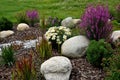 Ornamental flower bed with perennial pine gray granite boulders, mulched bark and pebbles in an urban setting near the parking lot