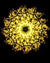 Ornamental flower mandala. Rose collage. Gold flower on black background.
