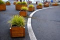 Ornamental flower pots next to the road to the square. ornamental perennial flowers grass. block shape flower pot made of wood mat Royalty Free Stock Photo