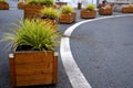 Ornamental flower pots next to the road to the square. ornamental perennial flowers grass. block shape flower pot made of wood mat Royalty Free Stock Photo