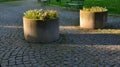 Ornamental flower pots on the windows of the house. plastic flower pots with beautiful decorations of violets and daffodils. Easte Royalty Free Stock Photo